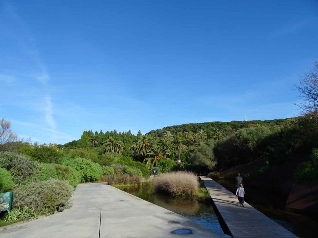 Barcelona's lovely Botanic Gardens
