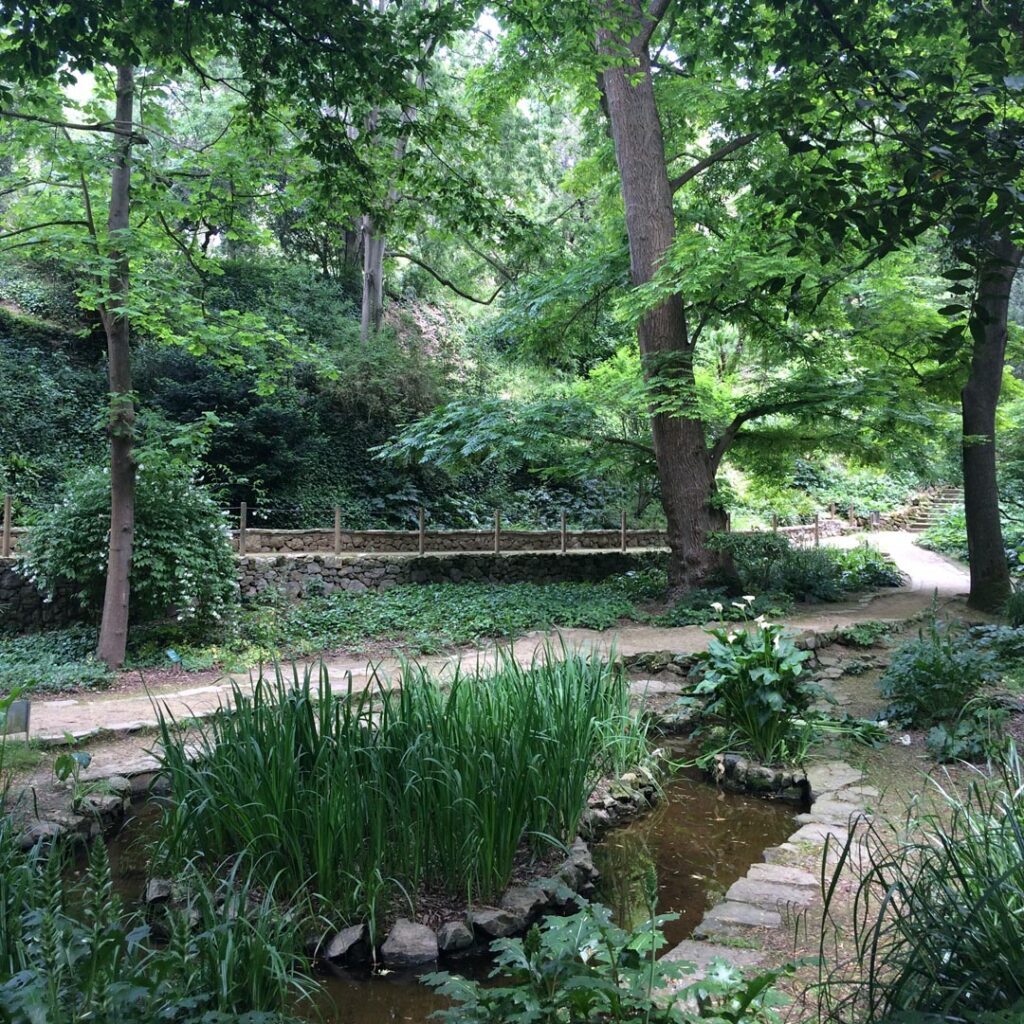 Trees and a pond in the Historic Botanic Gardens in Barcelona