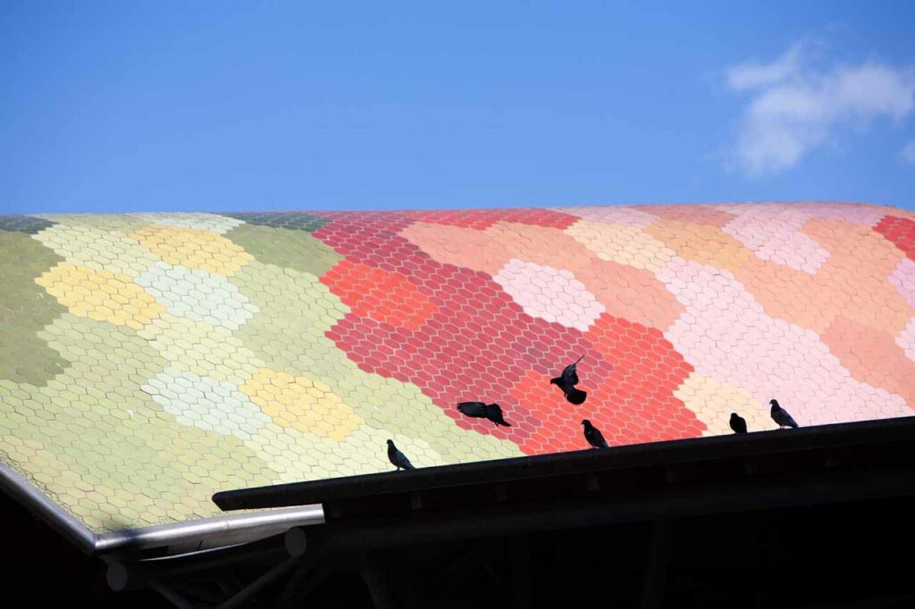 Pigeons on the roof of the Santa Caterina market in Barcelona